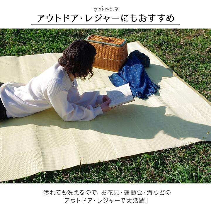 ラグ カーペット 洗える 日本製 国産 抗菌 防臭 消臭 アウトドア レジャー 敷物 和室 シンプル 江戸間3畳(約174×261cm)