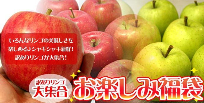 青森りんご 9kg 訳あり 送料無料 福袋 北海道産 青森産 リンゴ ※沖縄は送料別途加算 到着日指定不可