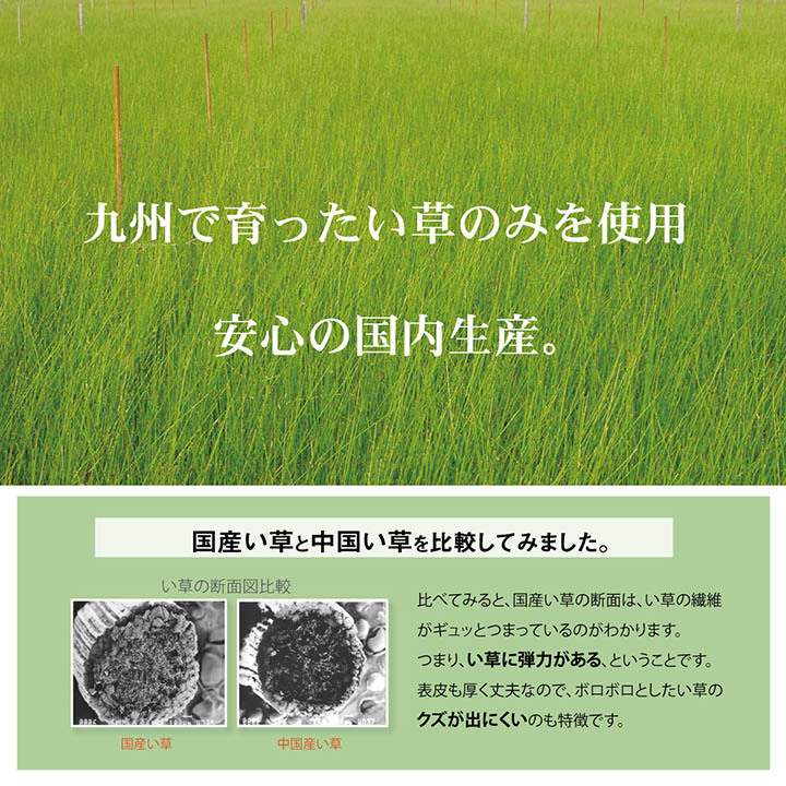 キッズ家具 子供用 日本製 い草 い草マット お昼寝 シンプル 星柄 約70×120cm