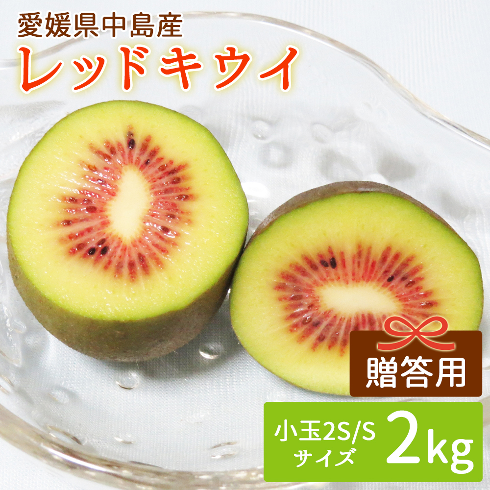 産地直送 レッドキウイ 2kg 小玉 贈答用 特選品 キウイフルーツ 2キロ 国産 瀬戸内海 離島の島 愛媛県 中島産 希望の島産 産直【送料無料】