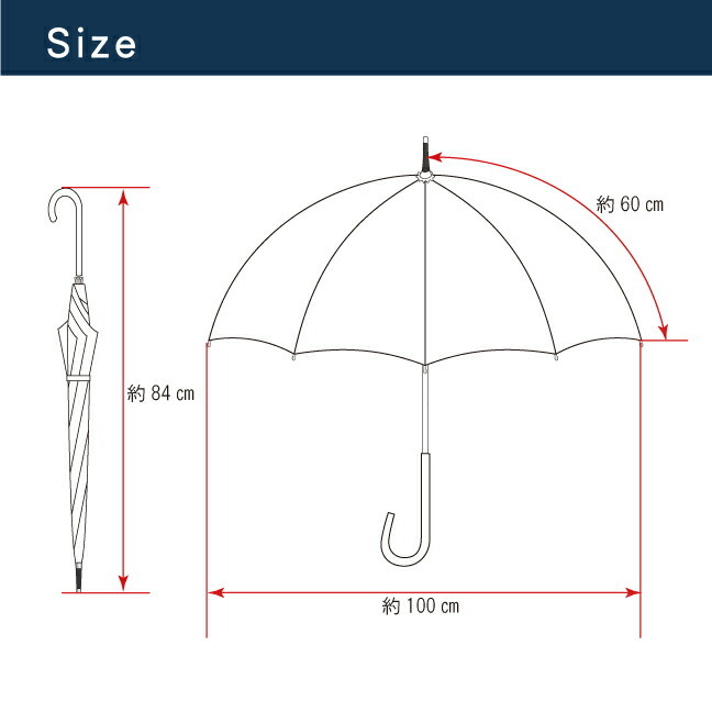 傘 レディース ビニール傘 通販 60cm 長傘 雨傘 透明傘 アート フルーティキャット ジャンプ傘 ワンタッチ傘 グラスファイバー骨 耐風 かさ カサ おしゃれ 通勤 通学 雨具 レイングッズ