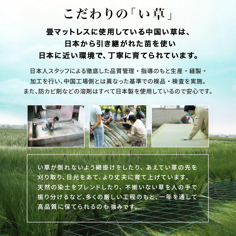 ベッド 寝具 組立簡単 畳シングル +畳マット 天然い草 四つ折り畳 パイン材 フレーム 畳マットレス 爽やかな 湿気 すのこ 通気性抜群 コンセント2口付き 便利な宮棚 大容量収納スペース 衣装ケース 収納 癒し系