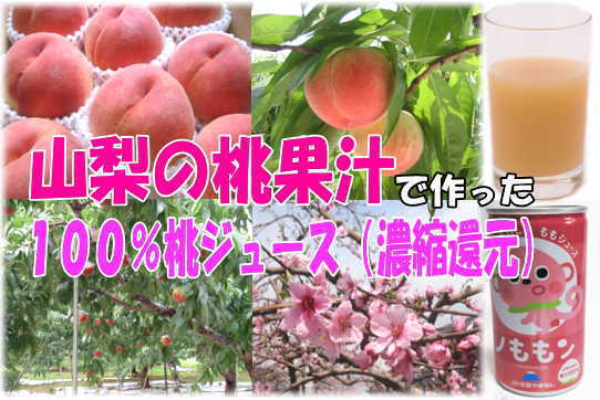山梨産１００％桃ジュース（15缶ギフト箱入・濃縮還元）