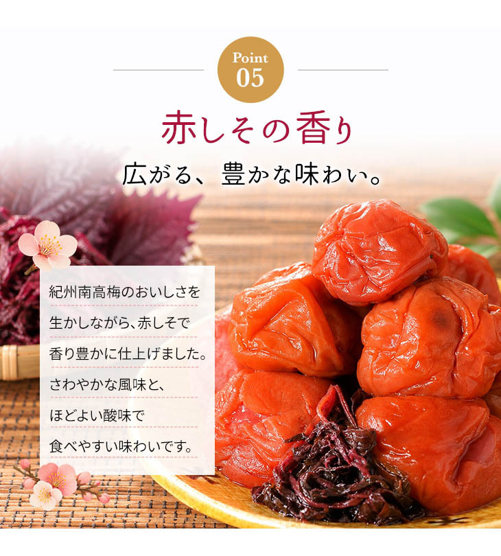 梅干し 紀州南高梅 つぶれ梅 1.7kg 850g×2パック 塩分約3% 減塩 しそ漬け 和歌山県産 赤しそ 紫蘇漬け 大粒 訳あり 紀州 お徳用 果肉たっぷり ご飯のお供 ギフト