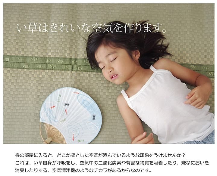 夏ラグ 夏用カーペット 純国産 い草 上敷き カーペット 市松織 『不知火』 本間1畳(約95×191cm） 熊本県八代産イ草使用