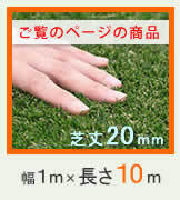 ガーデン エクステリア ロール人工芝 芝丈20mm 幅１×長さ10m SST-FME-2010 送料無料 ロールタイプ リアル 屋上緑化 ベランダ 庭 屋外 グリーンターフ ターフ