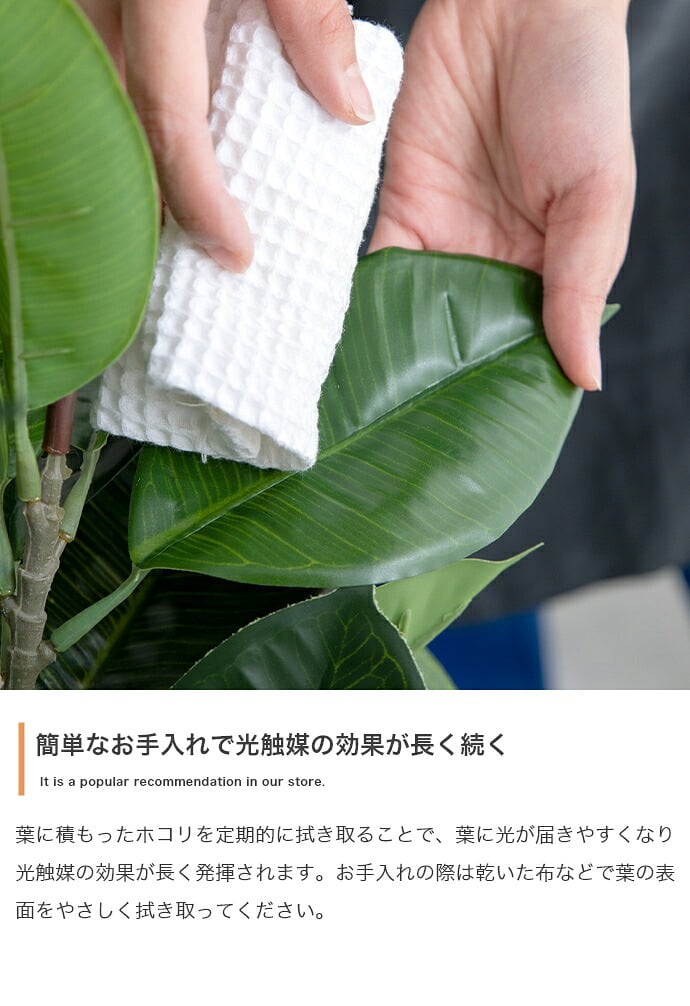 照明 ライト パキラ 観葉植物 人工 フェイクグリーン 室内 リビング オフィス 一人暮らし 緑 インテリア 光触媒 空気清浄 消臭 抗菌 防汚 ホルムアルデヒド分解 おしゃれ 高さ150cm 造花 植木 鉢植え 新築祝い 開店