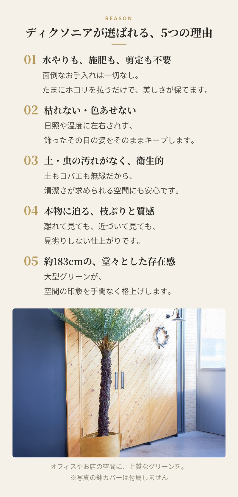 観葉植物 造花 ディクソニア BROWN 全高約183cm 大型 フェイクグリーン 高級 本物そっくり リアル おしゃれ 珍しい インテリア 人工観葉植物 アーティフィシャルグリーン オフィス 店舗 ホテル 開店祝い 室内 リビング 玄関 風水 木性シダ