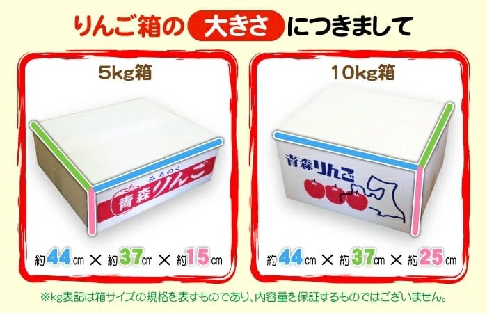 【11月中旬頃発送】蜜入りは１２月末まで 甘くておいしい！ フォーシーズン 青森りんご 葉とらずサンふじ　家庭用　5C箱(5kg箱)