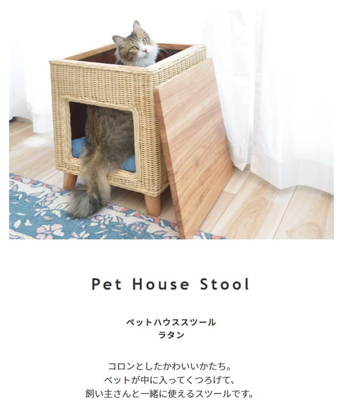 ラタン ペットハウススツール ペットと一緒にくつろぐ クッション付き 椅子 テーブル ネコ イヌ 猫 室内用 屋内用 小型犬 ペット用品 グッズ キャットタワー 省スペース 犬用 猫用 かわいい おしゃれ リゾート ホテル ケージ 最大2 天然木 イス