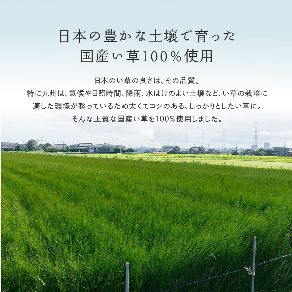 夏ラグ 夏用カーペット 国産い草カーペット せとのと 倉ノ戸 本間 2帖 2畳 柄上敷き 花ござ い草ラグ