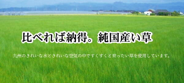 夏ラグ 夏用カーペット 純国産 い草花ござカーペット 『五風』 江戸間2畳(約174×174cm）