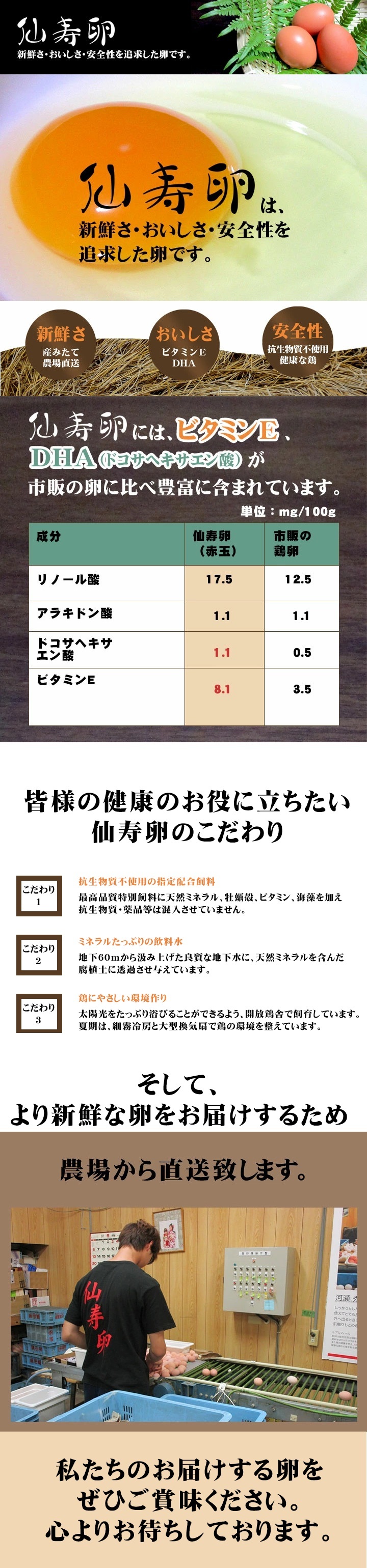 仙寿卵60個入（破損保証6個を含む）ギフト【送料無料（北海道・沖縄を除く）】