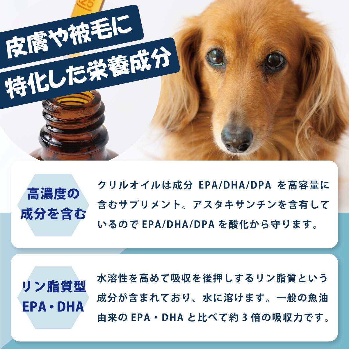 【RedDog】クリルオイル 50ml　乾燥肌　皮膚のかゆみ　抜け毛　液体タイプ　3ヶ月以上の犬猫用　脱臭特許技術