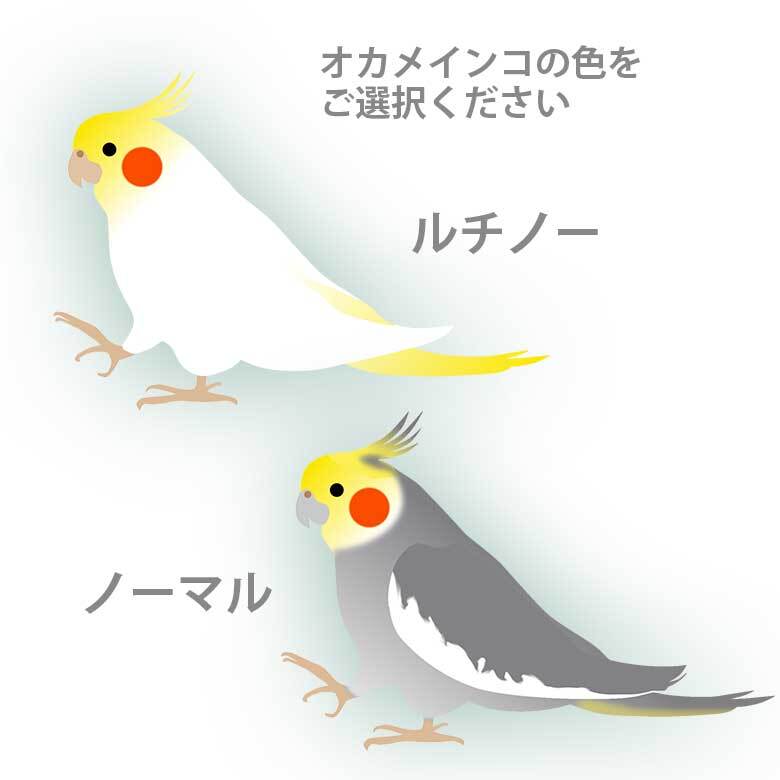 オカメインコ かわいい 取っ手付きマグボトル おしゃれ 290ml 保温 保冷 ステンレス マグボトル 取っ手付き 真空 断熱 二重構造 ボトル タンブラー 水筒 マイボトル オリジナル インコ オウム 鳥 ペット 動物 アニマル