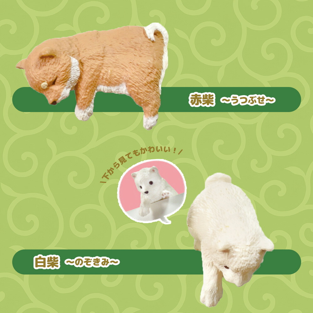 【5種類セット】 エール ガチャ ふちやすみ 柴犬 コンプリート 中身 ガチャガチャ