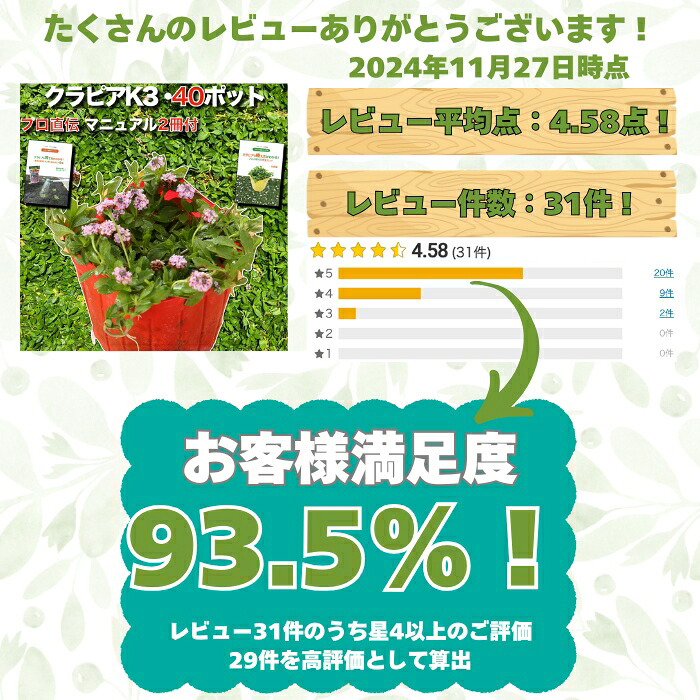 【肥料プレゼント中】 クラピア K3（ピンク）紫品種  9cmポット苗  40株セット 完全植栽マニュアル付き  ピンク色 桃色 イワダレソウ改良種 グランドカバー プランツ 植物 ピンクの花 庭 屋上 緑化 耐寒性 多年草 地被植物 ほふく性 下草 背が低い 宿根草