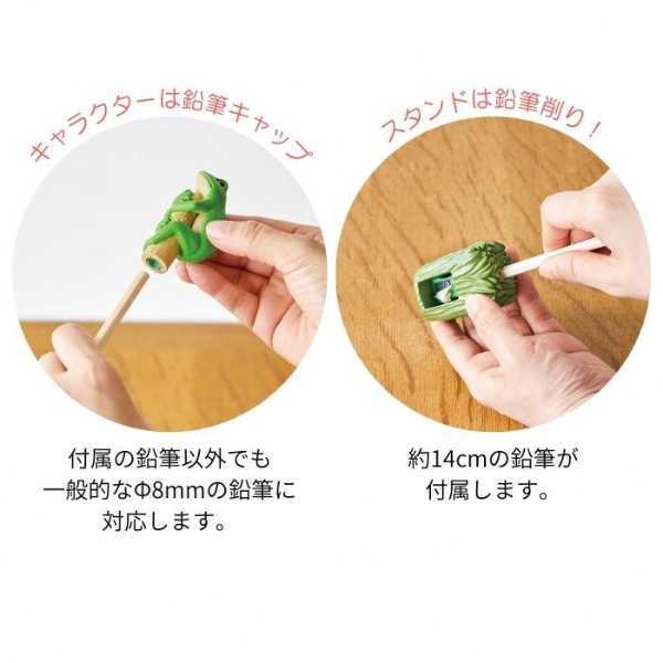 ペンシルキャップ 鉛筆削り アマガエル 文房具 ステーショナリー 雑貨 おしゃれ 可愛い リアル 癒し 動物モチーフ デスク周り オフィス 学校 勉強道具 ギフト プレゼント セトクラフト