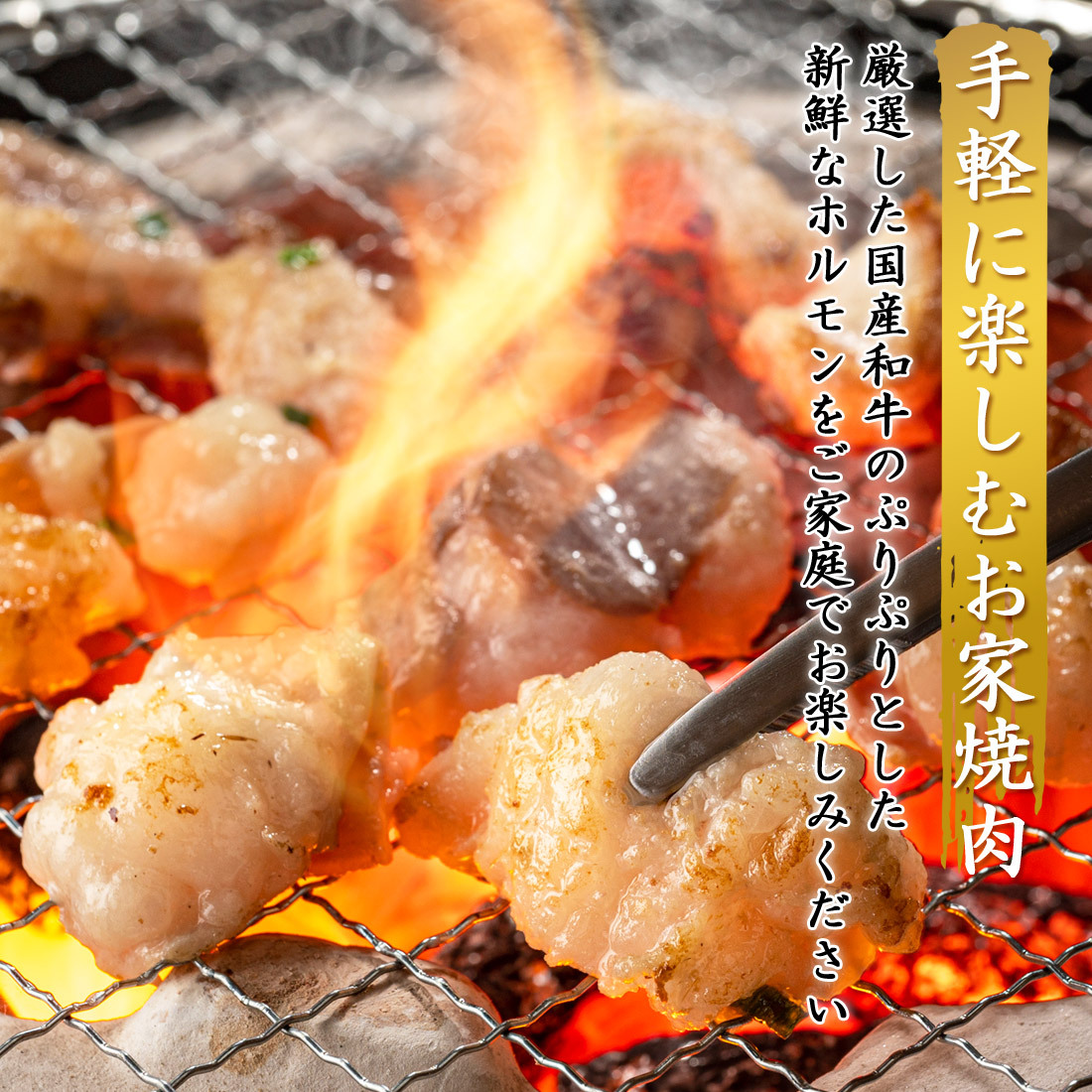 土佐あかうし・ゆすはら牛入り 国産牛 ミックスホルモン 焼肉 BBQ 炒め物 牛もつ 小腸 シマチョウ ミノ ハチノス センマイ ギアラ ハツ 味付けなし 小分け 高知産 キャンプ アウトドア 必要な量だけ使える小分け袋入り 【ヤマトクール便・送料無料】