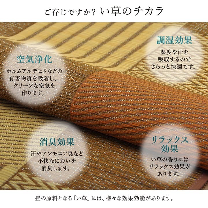 敷物 花ござ 国産 純国産 日本製 い草 モダン 抗菌防臭 自然素材 パッチワーク 本間4.5畳 約286.5×286cm