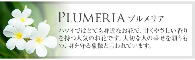 ハワイアンジュエリー  ネックレス ペンダントトップ ヘッド シルバー925 イエローゴールド コーティング ジルコニア | オープンハート ハート プルメリア 花 レディース プレゼント ギフト 誕生日 記念日 【送料無料】 おしゃれ 人気 ギフト 金属アレルギー