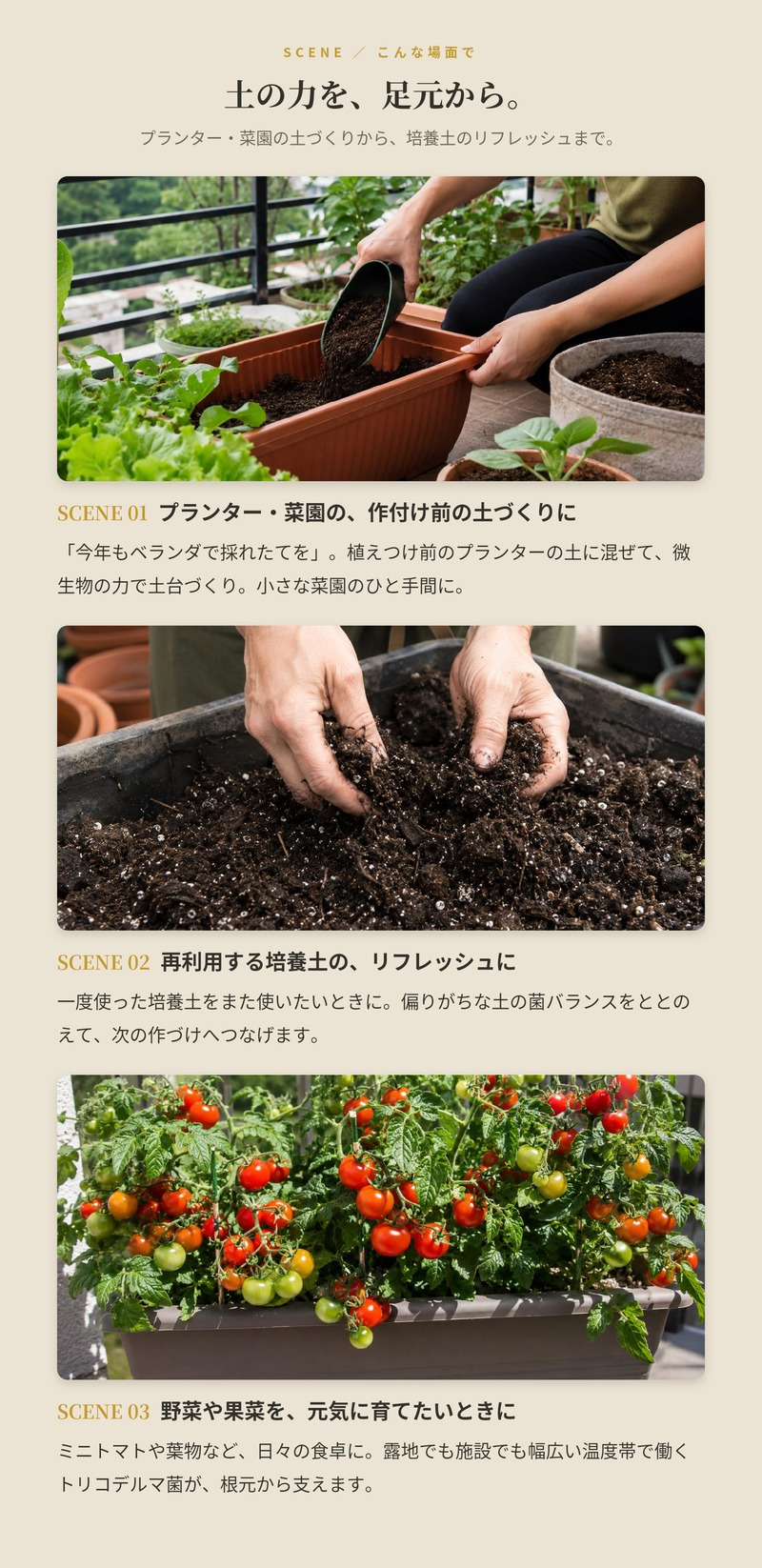 堆肥 Dr.トリコ菌 700ml 有機JAS適合 トリコデルマ菌 微生物資材 連作障害 対策 土壌改良材 アルム農材 緑の放線菌 リゾクトニア 家庭菜園 プランター 土づくり 有機農業 発酵肥料 善玉菌 有用微生物 生育障害 野菜 菜園 農業資材 プロ仕様 リン酸