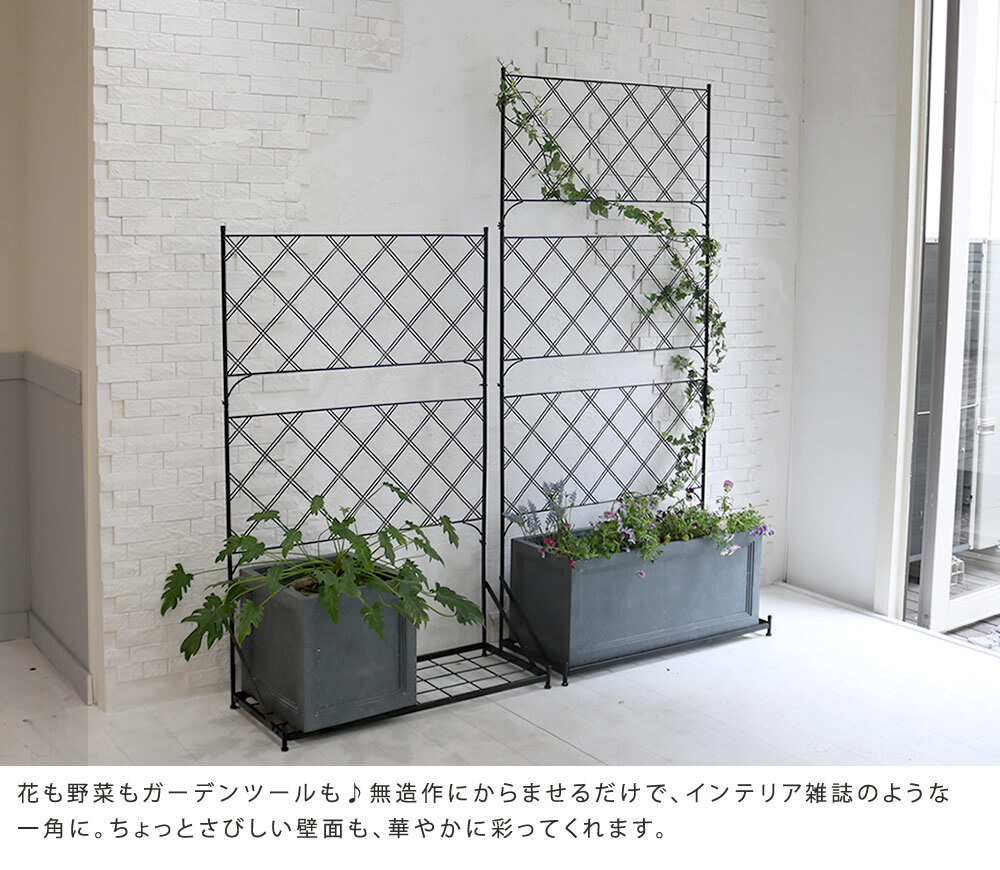 ガーデン エクステリア プランター台付フェンス ハイタイプ アーガイル フェンス ゲート 扉 アイアン ガーデニング 枠 柵 仕切り 目隠し 境目 ベランダ つる 薔薇 バラ 朝顔 園芸 ラティス つるバラ 庭 誘引 屋外 新生活
