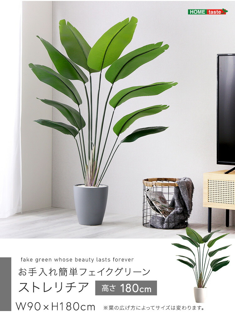 お手入れ簡単 フェイクグリーン ストレリチア Lサイズ(180cm) 新生活