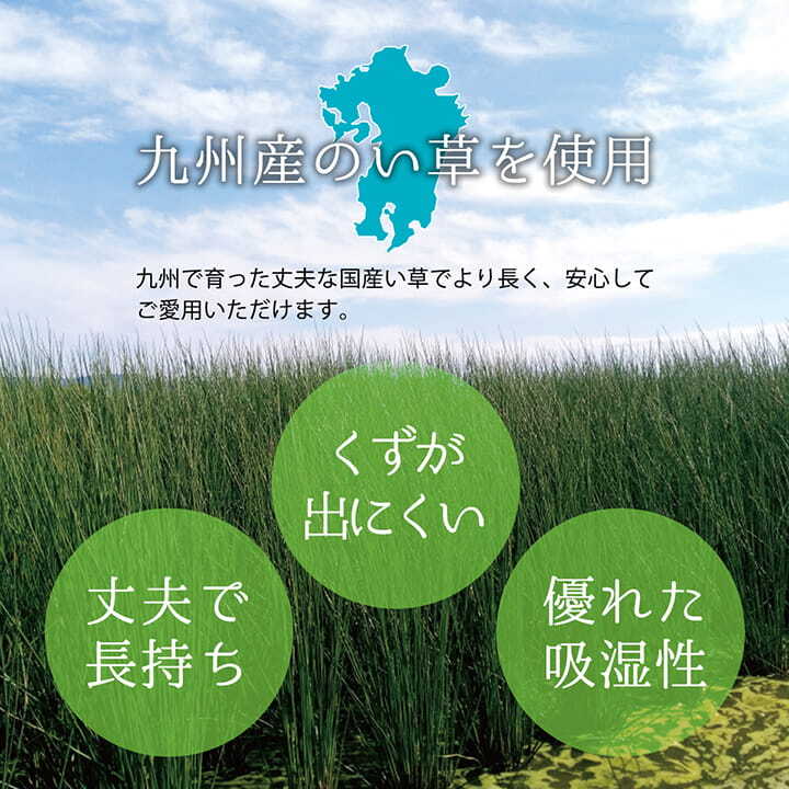 夏ラグ 夏用カーペット 上敷き ゴザ 敷詰 カーペット い草 自然素材 日本製 国産 消臭 抗菌防臭 麻の葉 レトロ 和 江戸間10畳 約435×352cm