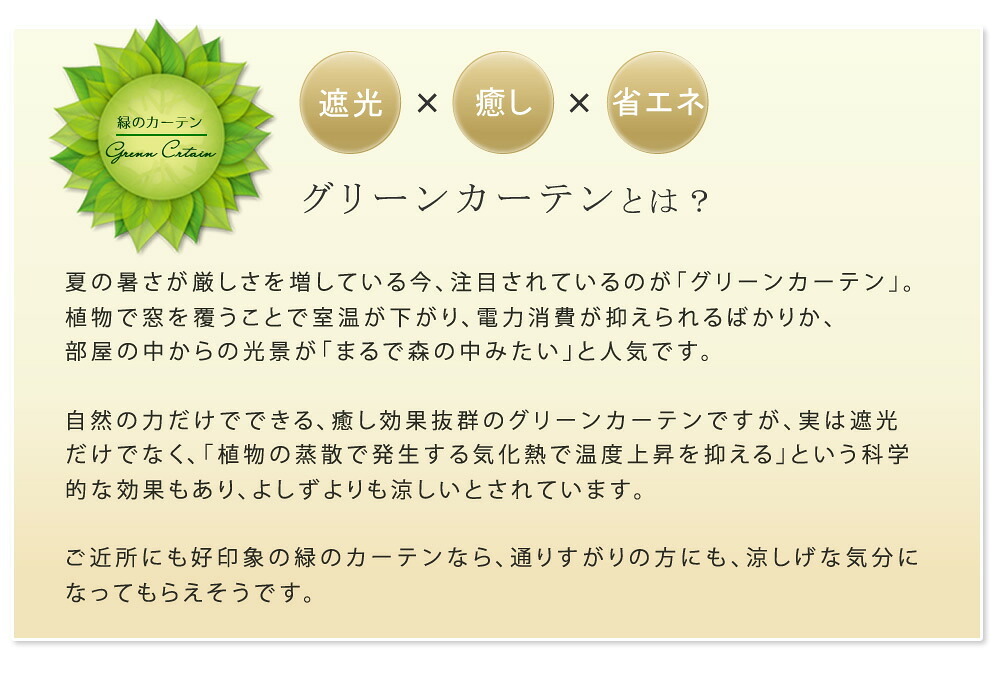 アイアンフェンス アイアン製グリーン アーガイル フェンス アイアン グリーンフェンス ゴーヤ 薔薇 バラ 朝顔 庭 ベランダ ガーデニング 枠 柵 仕切り 目隠し 境目 アンティーク トレリス 園芸 ラティス 屋外 ガーデンフェンス 目隠しフェンス 新生活