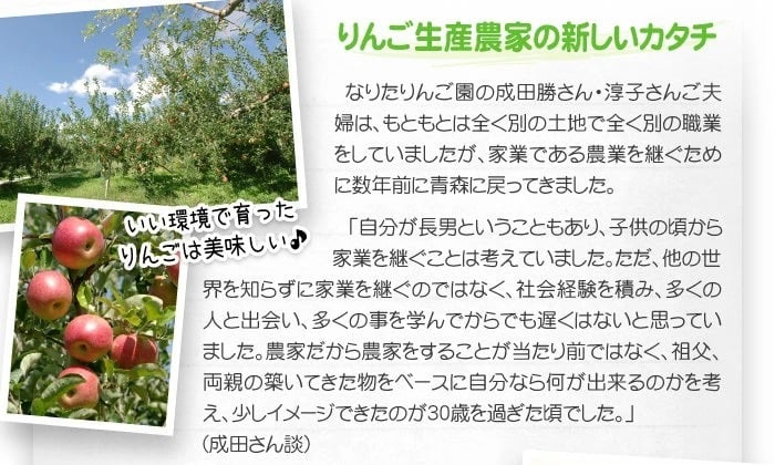 【11月中旬頃発送】蜜入りは１２月末まで　青森県認証 特別栽培農産物 ◆ 甘くておいしい！フォーシーズン 青森りんご 葉とらずサンふじ 家庭用 約１０kg箱