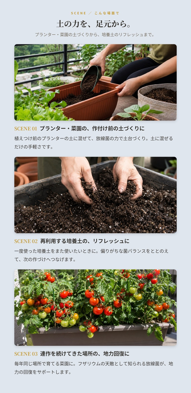 堆肥 Dr.放線菌 700ml 有機JAS適合 放線菌 微生物資材 連作障害 対策 土壌改良材 アルム農材 ドクターホウセンキン フザリウム 家庭菜園 プランター 土づくり 有機農業 ぼかし肥料 善玉菌 有用微生物 地力回復 土壌病害 生育障害 野菜 菜園 農業資材 プロ仕様