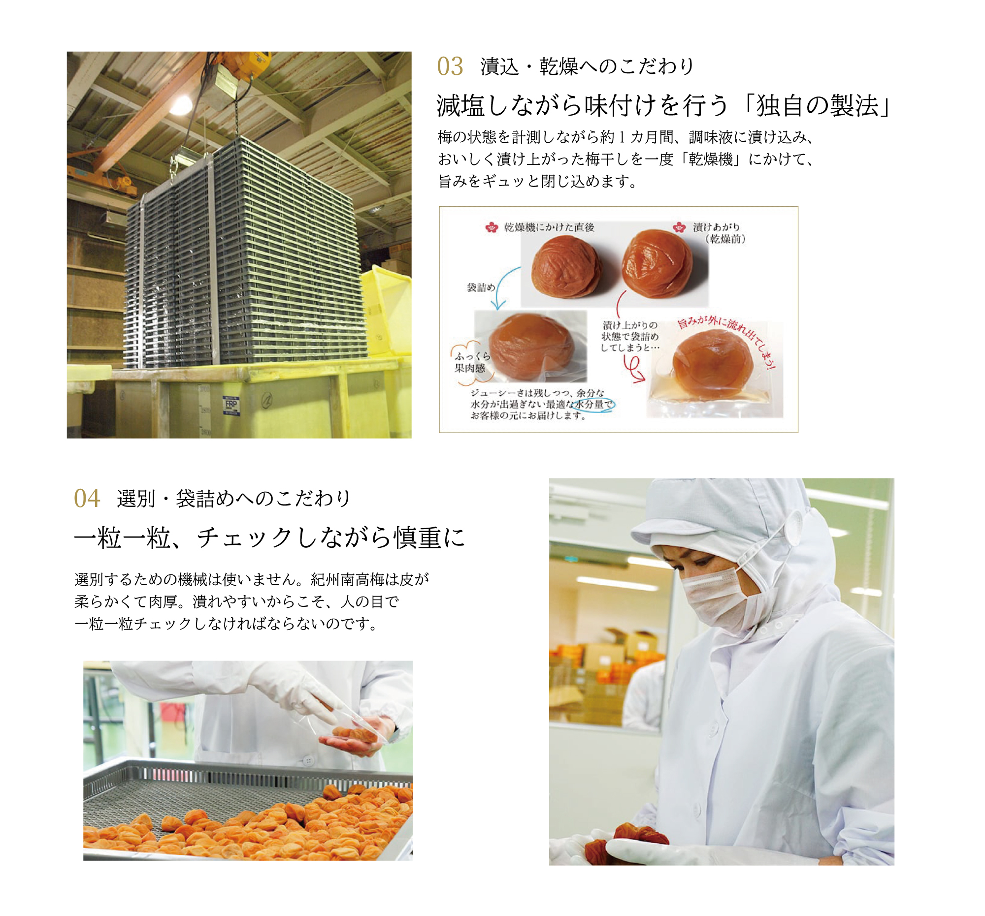 【送料無料】極6包・贅沢茶漬けセット2000 梅干 お茶漬け お買い得  紀州南高梅 みなべ A級品 ギフト お中元 お歳暮 内祝 御祝 御供 敬老 セット 詰合せ  個包装 