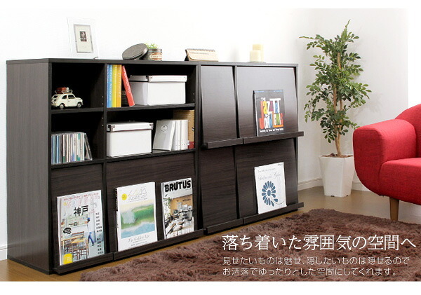 収納家具 ラック 魅せて隠す収納 ディスプレイ GR-FR-2P--WH ホワイト ホームテイスト リビング 本棚書棚 2個セット フラップ扉収納
