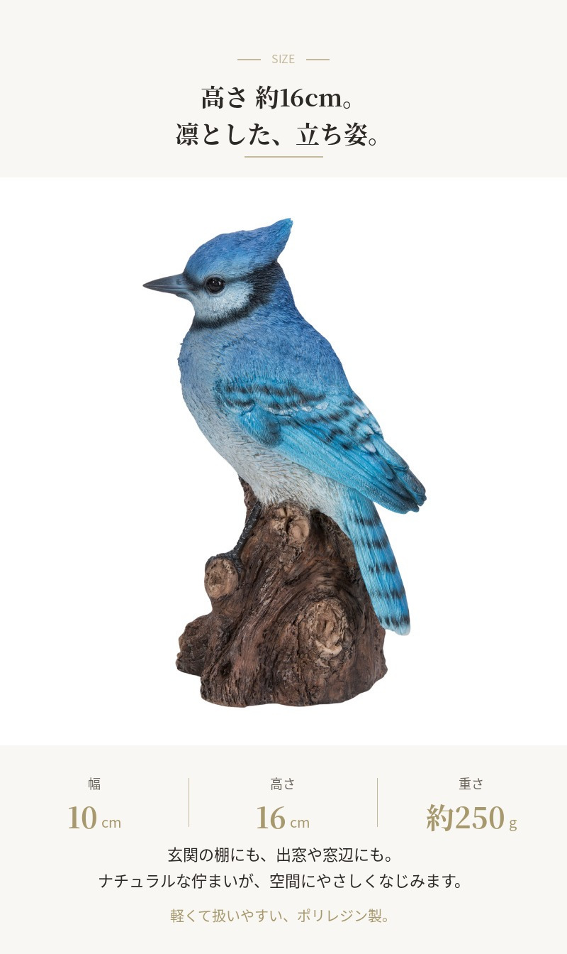置物 鳥 アオカケス 高さ16cm woobia ウービア 野鳥 リアル おしゃれ 玄関 インテリア オブジェ ガーデン 北欧 ナチュラル 青い鳥 動物 アニマル 癒し 小鳥 鳥好き 出窓 棚 プレゼント ギフト バードウォッチング