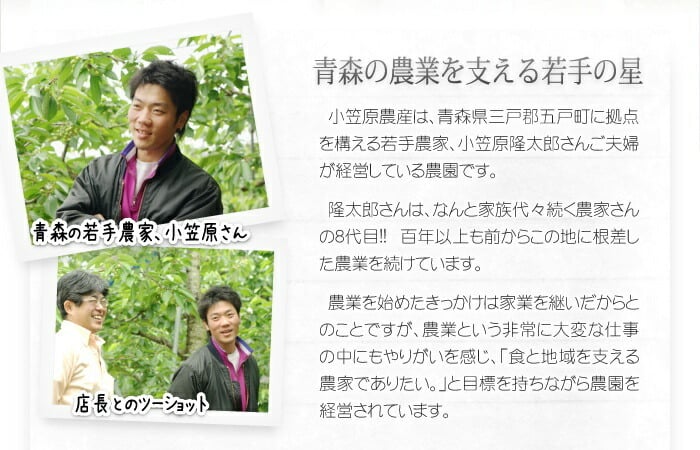 １０月下旬頃から発送開始　青森りんご 紅玉 こうぎょく ●家庭用10C箱(10kg箱:約36～50個入)