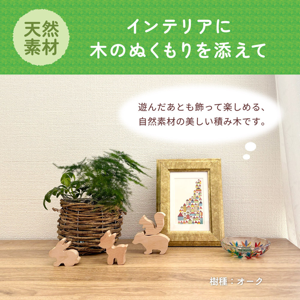 【名入れ】【型はめパズル】【出産祝い】【1歳誕生日プレゼント】【動物（シカ・ウサギ・リス・クマ）】【4個セット】ギフト/ラッピング無料/木のおもちゃ/木製玩具/無塗装/積み木/ごっこあそび/赤ちゃん/男の子/女の子 『ブロットプロジェクト|PICTO TSUMIKI - Forest & puzzle』