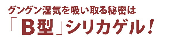除湿シート 除湿マット 洗える 湿度調整マット 〔調湿くん〕 クローゼットタイプ 5枚セット ハンガー対応 湿気取り 防ダニ 防カビ シリカゲル 梅雨対策