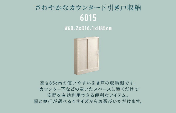 食器棚 キッチン収納 さわやかなカウンター下引き戸収納6015 FKSS-6015--WHW ホワイトウォッシュ 幅60cm・奥行15cm ホームテイスト カウンター下 引き戸 薄型 幅60cm 奥行15cm キッチン 収納 スリム 薄型収納 台所 新生活