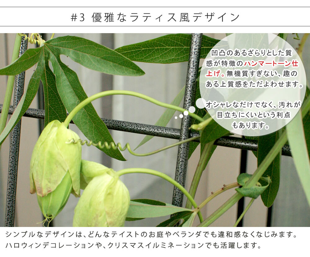アイアンフェンス アイアン製グリーン グラフ フェンス アイアン グリーン ゴーヤ 薔薇 バラ 朝顔 庭 ベランダ ガーデニング 枠 柵 仕切り 目隠し 境目 アンティーク トレリス 園芸 ラティス 屋外 ガーデンフェンス 目隠しフェンス 園芸フェンス 新生活
