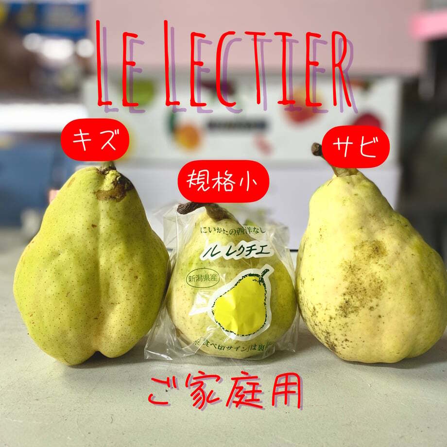 【予約：11月下旬〜12月中旬随時発送】【ご自宅用】にいがた西洋梨 ルレクチェ 約4kg入【8〜16玉】ギフト プレゼント お中元 お歳暮 出産祝い 内祝い お誕生日 御祝 御礼 母の日 父の日 敬老の日 記念日 手土産 季節の贈り物【送料無料】