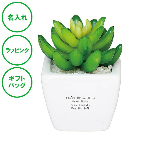 名入れ CT触媒グリーン アガベ セダム 造花 空気 きれい ラッピング ギフトバッグ プレゼント クリスマス ホワイトデー 開店祝い 出産祝い 彼氏 彼女 誕生日 父の日 母の日 敬老の日 誕生日 夫婦 結婚祝い 内祝い 名入れギフトの日