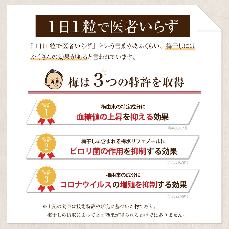 【特選紀州南高梅】【しそ漬梅250g×2パック（塩分約20％）】【無添加】しそと塩のみで漬けた昔ながらの梅干し つけもの 梅干し ギフト プレゼント 内祝