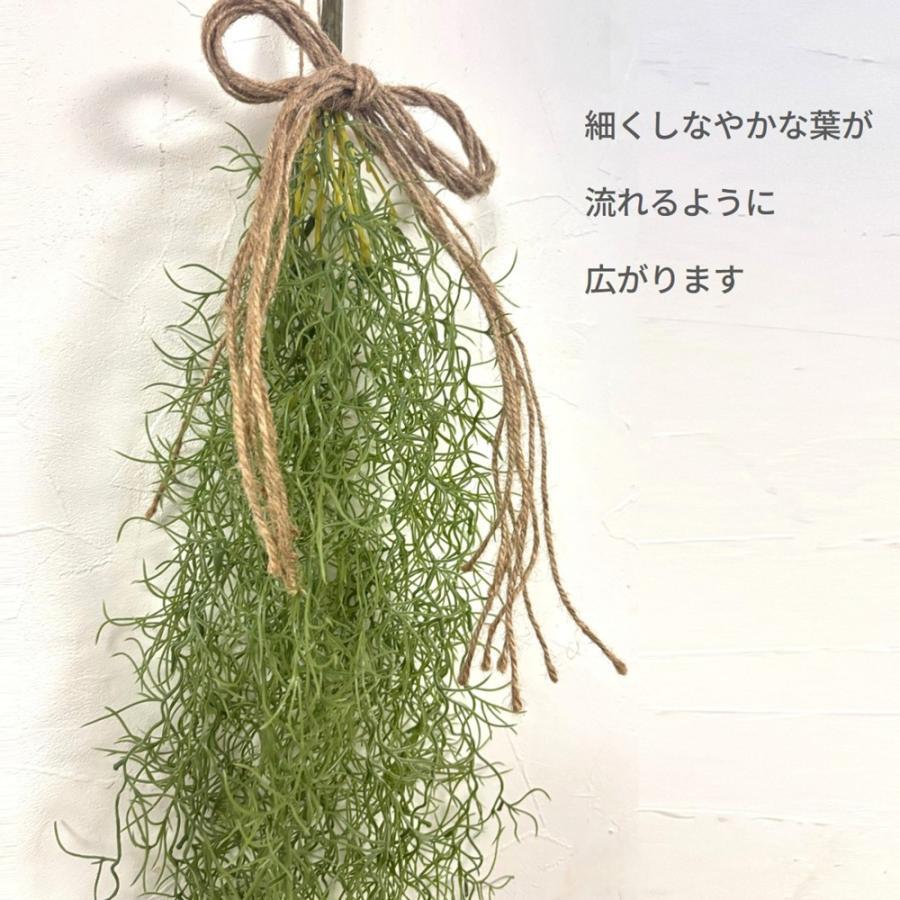 【送料無料】 飾るだけでお洒落な空間に【造花・光触媒】光触媒がお部屋の気になる臭いを脱臭 フェイクグリーンで癒しの空間　 造花 観葉植物  スパニッシュモス壁掛け 光触媒でニオイを分解！