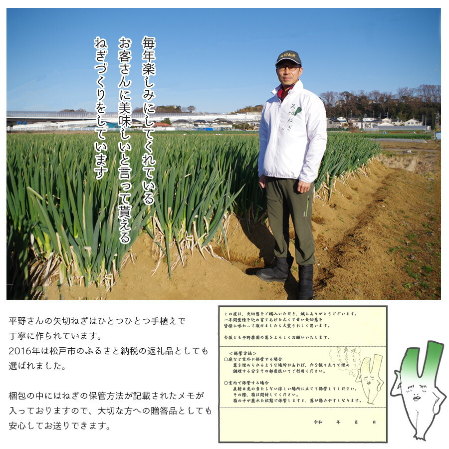【12月中旬～順次出荷】産地直送 矢切ねぎ (約3.5kg)千葉県松戸市の特産品 葱 長葱 長ネギ 白ねぎ 根深ねぎ 長ねぎ 青ねぎ 葉ねぎ 万能ねぎ 九条ねぎ 下仁田ねぎ あさつき わけぎ リーキ ネギ