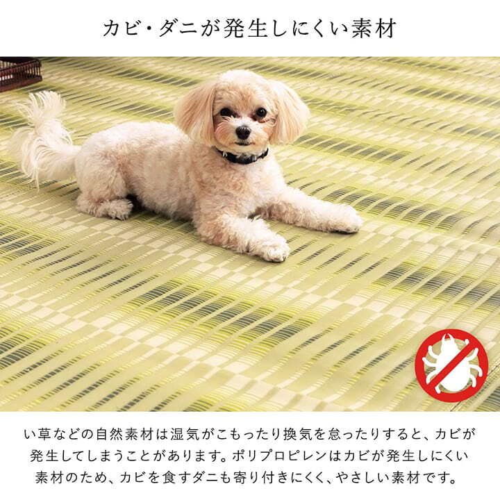 ラグ カーペット 洗える ござ 日本製 国産 丈夫 除菌スプレー対応 敷詰 敷物 アウトドア レジャー ペット 江戸間6畳（約261×352cm）