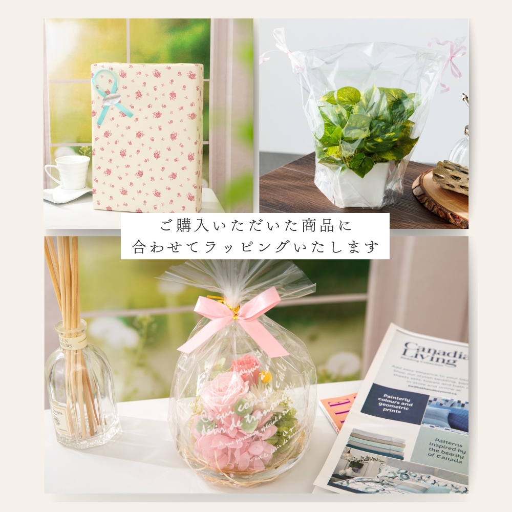 猫 プリザーブドフラワー ギフト 壁掛け 時計 花 【オローニャ】 かわいい 誕生日プレゼント 母親 女友達 誕生日 お祝い 女性 カフェ 開店 出産 退職 送別会 卒業 卒団 記念品 ペット 喜寿 還暦 傘寿 フラワーアレンジメント 雑貨 母の日 花