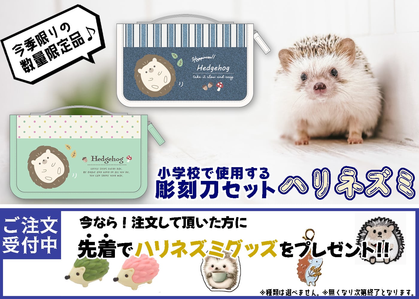 スクールTownオリジナル 彫刻刀セット ハリネズミ サガラ刺繍 サガラワッペン 小学校 小学生 女の子 男の子 おしゃれ かわいい 持ち手付き 彫刻刀 ケース付き 5本組 すべり止めシート 名前シール 
