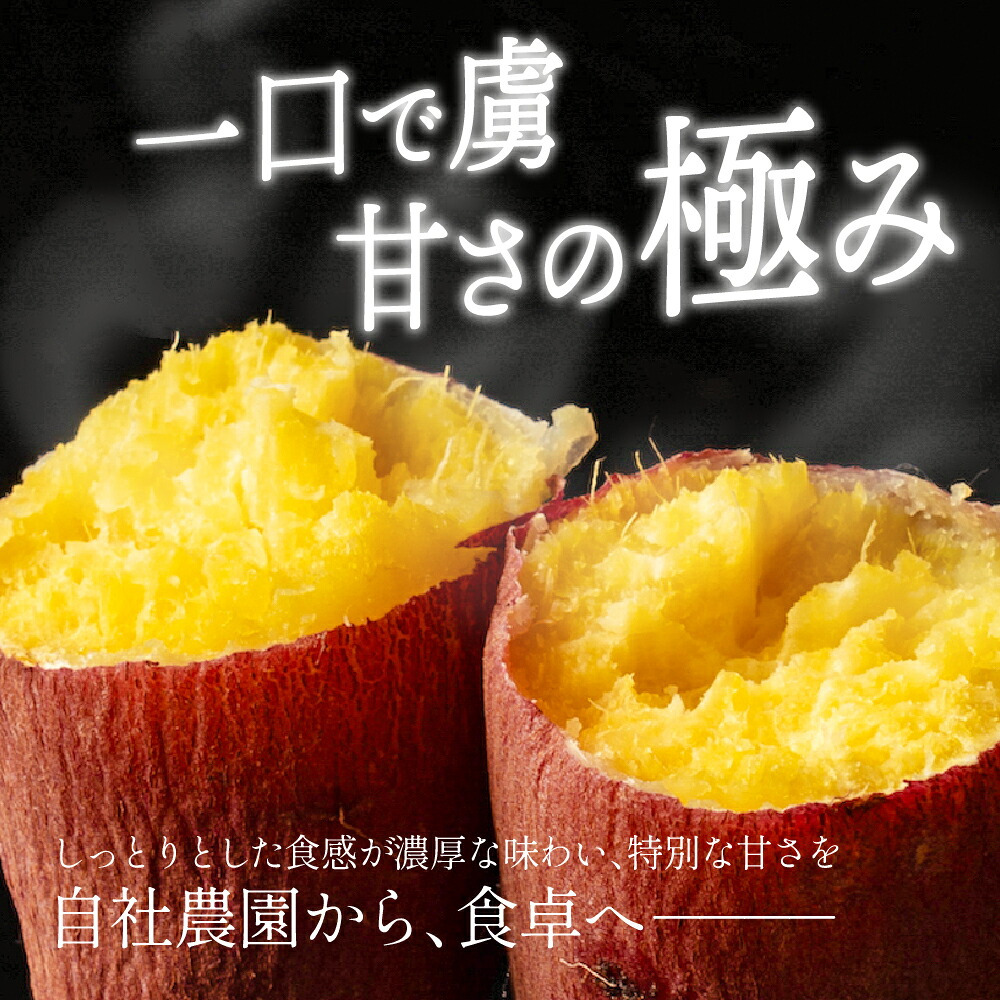 静岡県産 さつまいも 紅はるか 【内容量が選べる1kg~10kg】雑穀米本舗  送料無料 スイーツ 生芋 生 サツマイモ べにはるか 甘い 美味しい 産地直送 ギフト プレゼント
