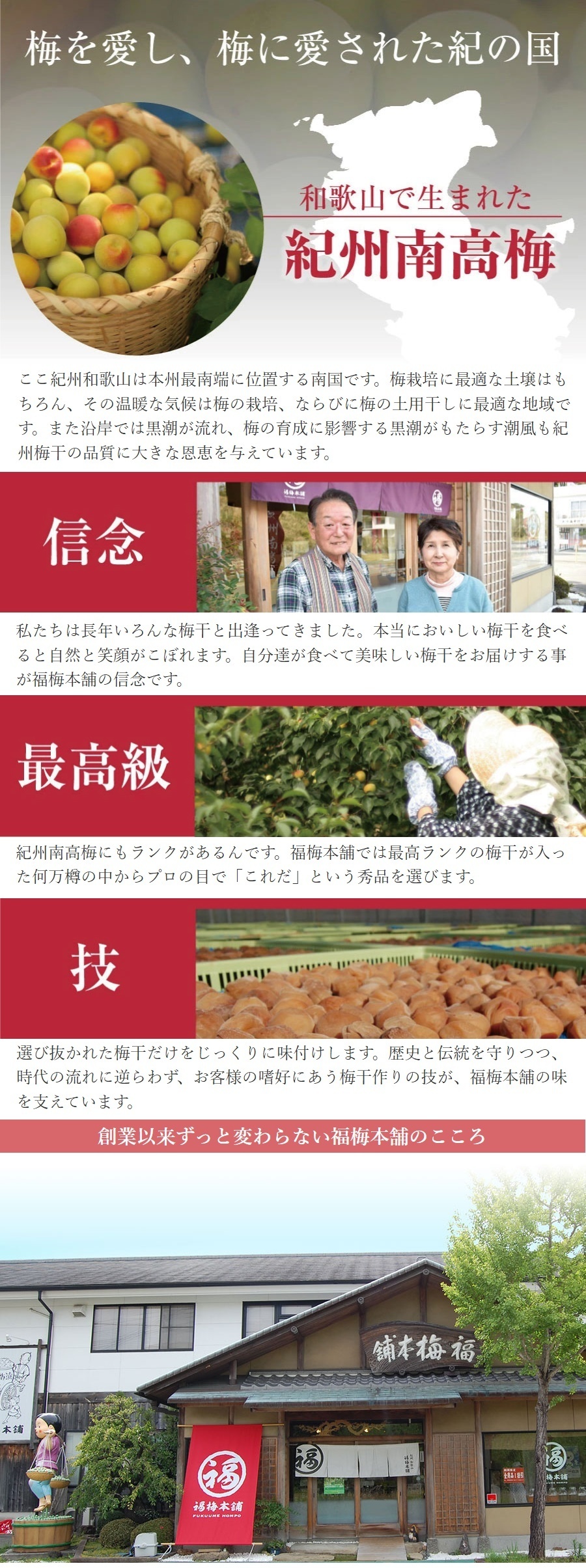 【特選紀州南高梅】【しそ漬梅250g×2パック（塩分約20％）】【無添加】しそと塩のみで漬けた昔ながらの梅干し つけもの 梅干し ギフト プレゼント 内祝